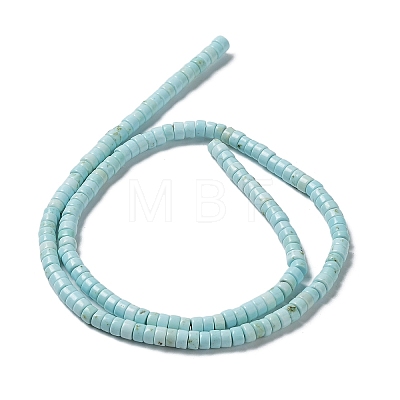 Natural Howlite Beads Strands G-E604-A04-C-1