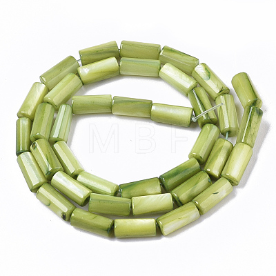 Natural Freshwater Shell Beads SHEL-R047-01F-1
