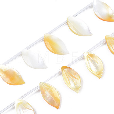Natural Yellow Shell Beads Strands SSHEL-S278-118-1