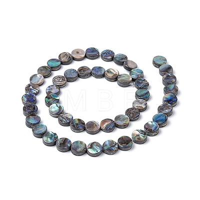 Natural Abalone Shell/Paua Shell Beads Strands X-SSHEL-G003-5-8x3mm-1