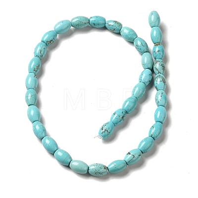 Natural Howlite Beads Strands G-C025-08-1