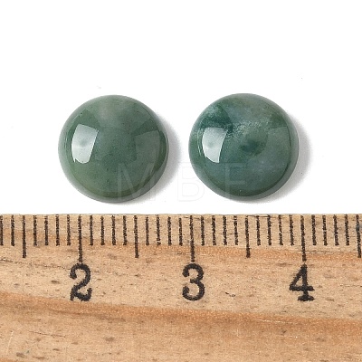 Natural Moss Agate Cabochons G-Z075-06C-1