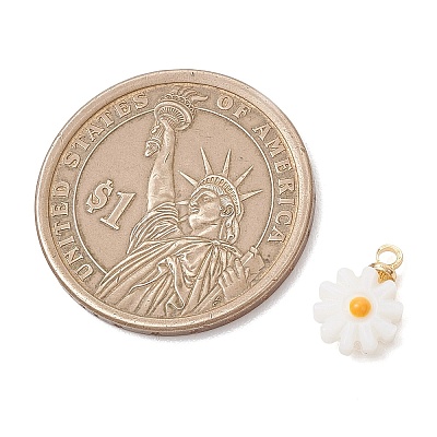4Pcs 4 Styles Natural Freshwater Shell Enamel Flower Charms with Brass Bails PALLOY-JF04895-1