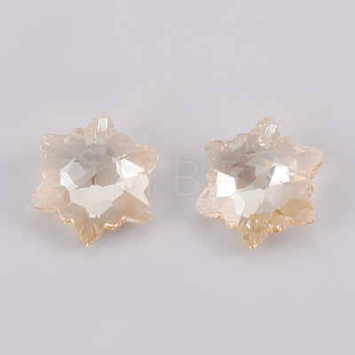 K9 Glass Rhinestone Pendants GLAA-F083-03A-1