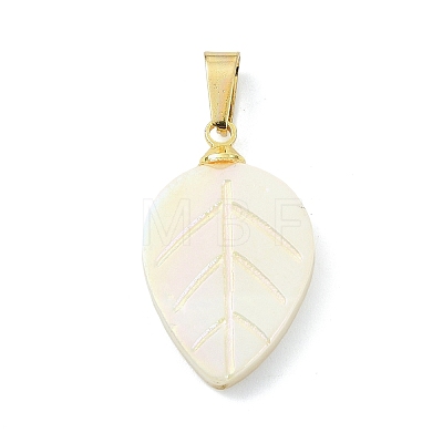Natural Freshwater Shell Carved Pendants PALLOY-JF05288-01-1