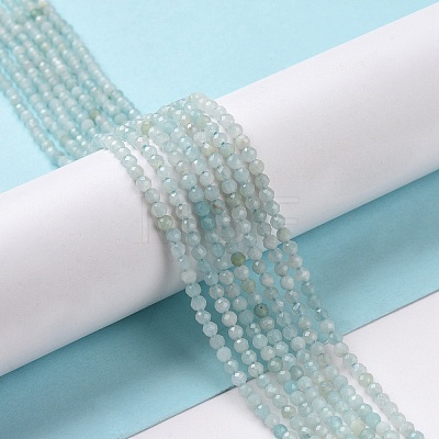 Natural Amazonite Beads Strands G-E351-10A-1