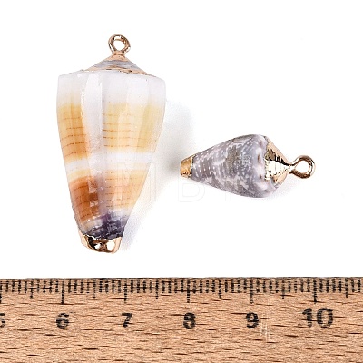 Electroplate Natural Spiral Shell Pendants SSHEL-Q100-31-01KCG-1