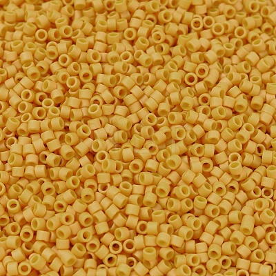 MIYUKI Delica Beads SEED-X0054-DB2285-1