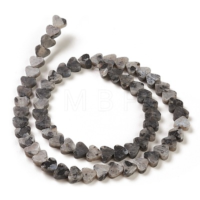 Natural Larvikite Beads Strands G-M403-A12-1