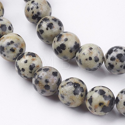 Natural Dalmatian Jasper Stone Bead Strands G-R193-14-8mm-1