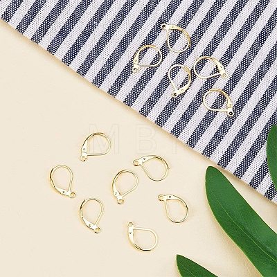 Brass Leverback Earring Findings KK-PH0026-22G-RS-1