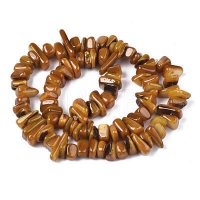 Natural Trochid Shell/Trochus Shell Beads Strands SHEL-S258-080-B03-1
