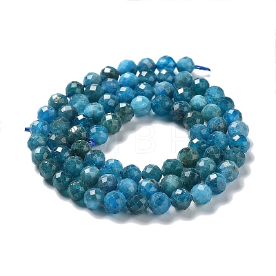 Natural Apatite Beads Strands G-J400-E01-02-1