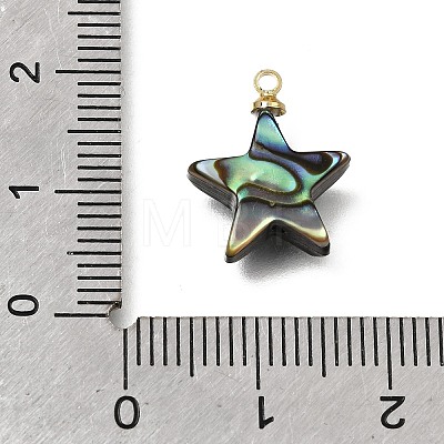 Natural Abalone Shell Pendants SH-CJC0AC7-01D-G-1
