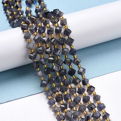 Natural Iolite Beads Strands G-P463-42-1