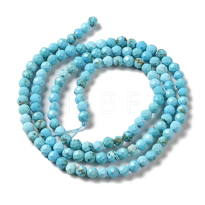 Natural Howlite Beads Strands G-C025-03B-02-1