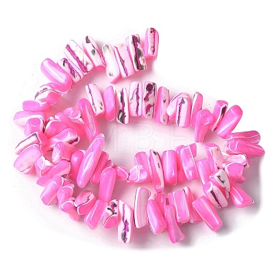 Dyed Natural Trochus Shell Beads Strands SSHEL-C013-09E-1