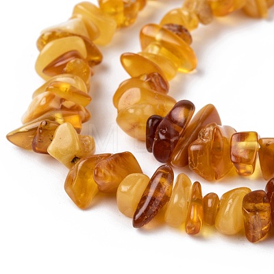 Natural Amber Chip Beads Strands G-E271-81-1