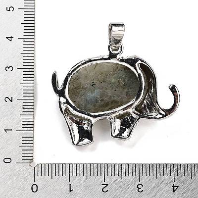 Natural Labradorite Pendants G-G112-01P-06-1