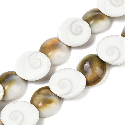 Natural Shiva Eye Shell Beads Strands SHEL-G021-01B-1