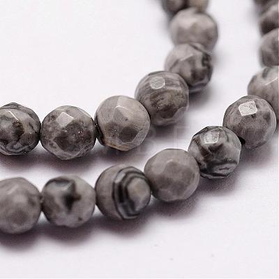 Natural Map Stone/Picasso Stone/Picasso Jasper Beads Strands G-D840-35-4mm-1