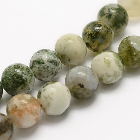 Natural Tree Agate Beads Strands G-G735-02-8mm-1