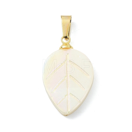 Natural Freshwater Shell Carved Pendants PALLOY-JF05288-01-1