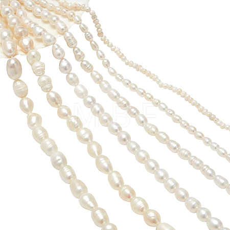 6 Strands 6 Styles Natural Cultured Freshwater Pearl Beads Strands PEAR-NB0002-36-1
