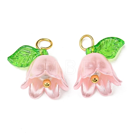 Acrylic Pendants OACR-D012-01D-1