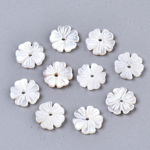 Natural White Shell Beads SSHEL-S260-050A-1