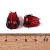 Handmade Lampwork Beads LAMP-N042-02F-3