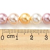 Electroplated Natural Shell Beads Strands SHEL-F008-03B-05-4