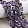 Natural Charoite Beads Strands G-D101-B17-1