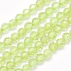 Natural Prehnite Beads Strands G-O166-19-2mm-1