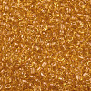 Glass Seed Beads X2-SEED-A004-3mm-2-2