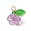 Acrylic Charms PALLOY-JF03079-3