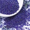 MIYUKI Round Rocailles Beads SEED-X0054-RR0484-1