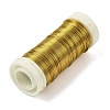 6 Rolls 6 Colors Baking Paint Iron Wire MW-K001-0.4mm-2