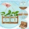 2 Bags Rustic Triple Glass Hydroponic Vase with Wooden Stand AJEW-TW0001-38-5