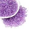 Baking Paint Electroplate Transparent Glass Seed Beads SEED-N006-07J-1