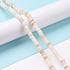 Freshwater Shell Beads Strands SHEL-G011-09-A02-2