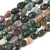 Natural Indian Agate Beads Strands G-C286-A12-2