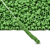 TOHO 6/0 Round Beads SEED-TR06-0047F-2