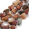 Natural Ocean Jasper Beads Strands GG-CBA0B77-A23-02-2