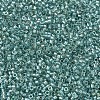 MIYUKI Delica Beads SEED-X0054-DB1767-3