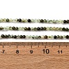 Natural Prehnite Beads Strands G-L629-B05-2mm-5