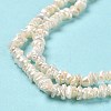 Natural Keshi Pearl Beads Strands PEAR-J007-28-4