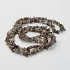 Natural Labradorite Chips Beads Strands X-F069-3