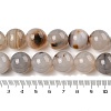 Natural Dendritic Agate Beads Strands G-A248-A07-07-5