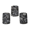 Natural Larvikite Pendants G-K354-14H-1